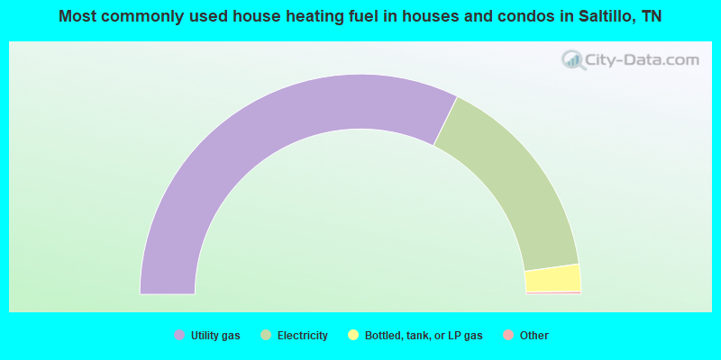 Most commonly used house heating fuel in houses and condos in Saltillo, TN