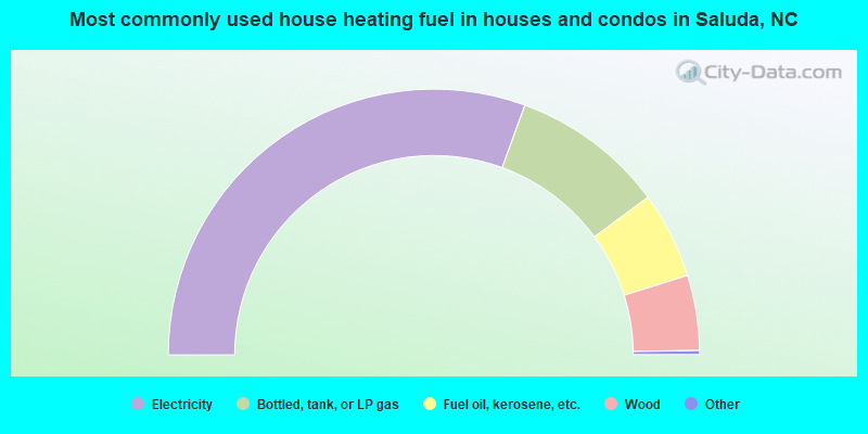Most commonly used house heating fuel in houses and condos in Saluda, NC