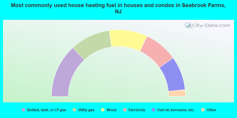 Most commonly used house heating fuel in houses and condos in Seabrook Farms, NJ
