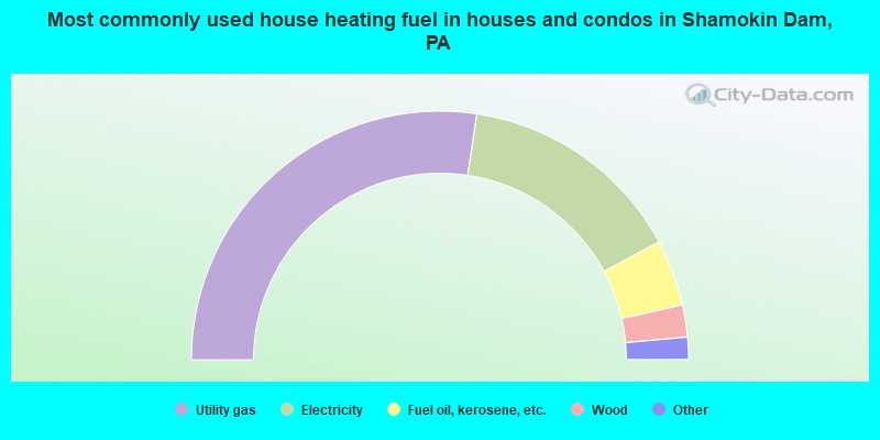Most commonly used house heating fuel in houses and condos in Shamokin Dam, PA