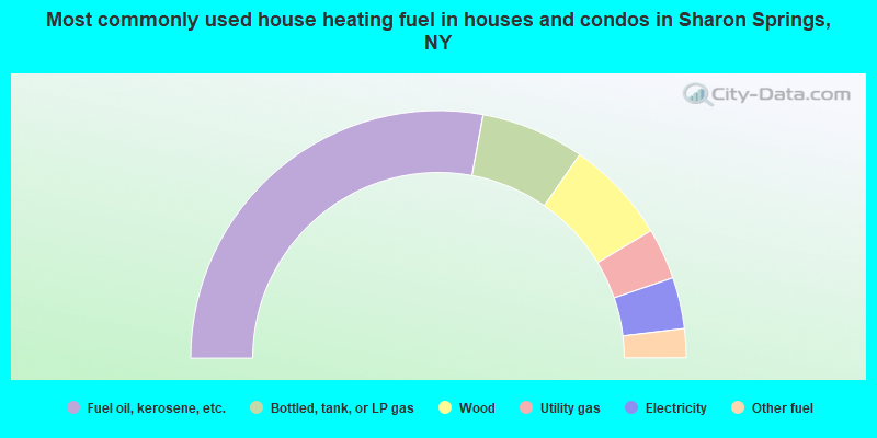 Most commonly used house heating fuel in houses and condos in Sharon Springs, NY