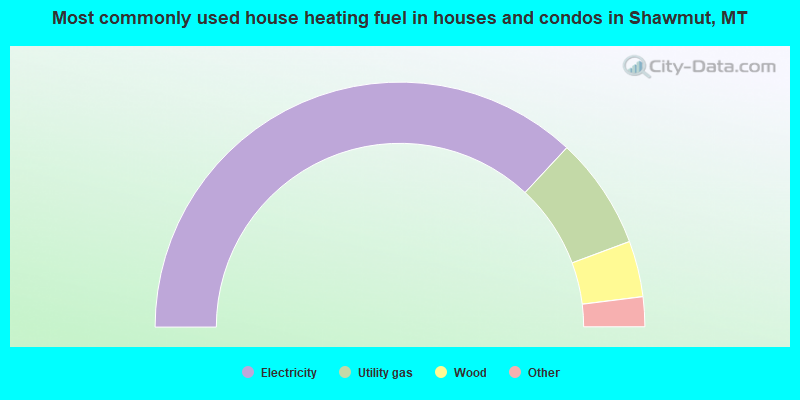 Most commonly used house heating fuel in houses and condos in Shawmut, MT