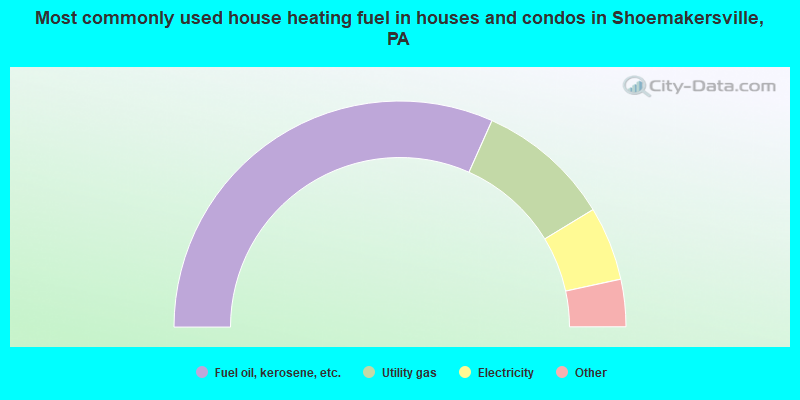 Most commonly used house heating fuel in houses and condos in Shoemakersville, PA