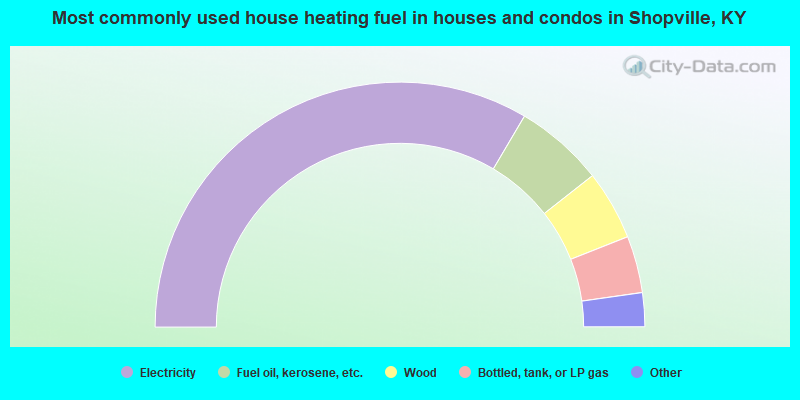 Most commonly used house heating fuel in houses and condos in Shopville, KY