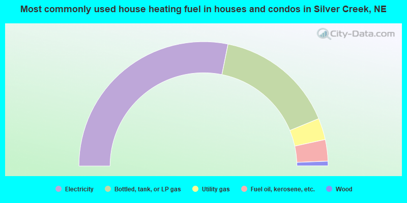 Most commonly used house heating fuel in houses and condos in Silver Creek, NE