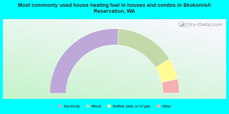 Most commonly used house heating fuel in houses and condos in Skokomish Reservation, WA