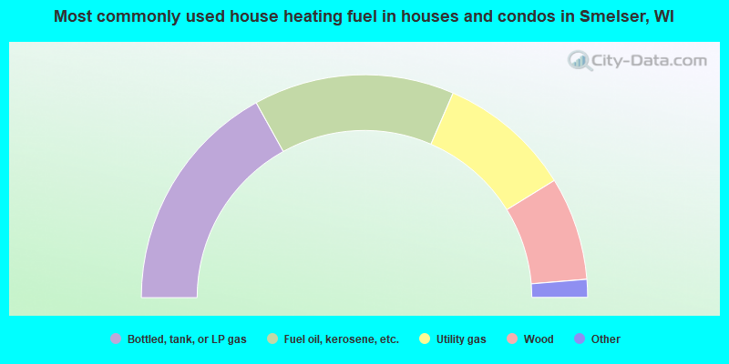 Most commonly used house heating fuel in houses and condos in Smelser, WI
