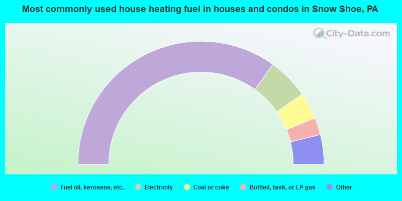 Most commonly used house heating fuel in houses and condos in Snow Shoe, PA