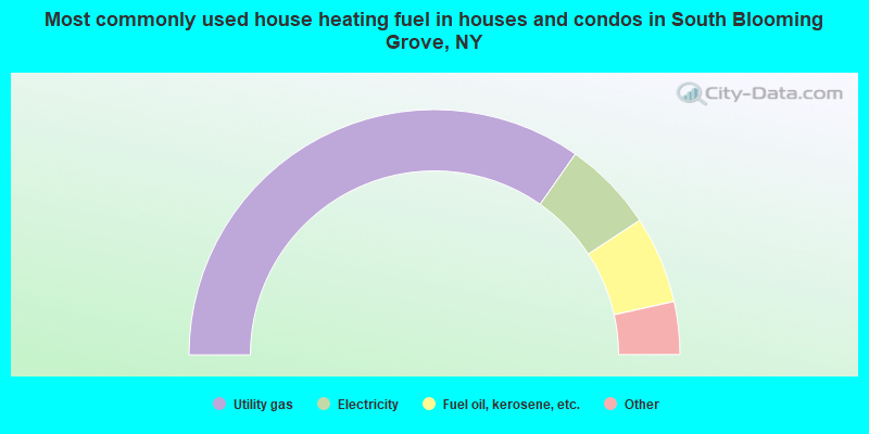 Most commonly used house heating fuel in houses and condos in South Blooming Grove, NY