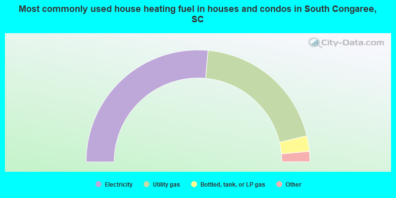 Most commonly used house heating fuel in houses and condos in South Congaree, SC
