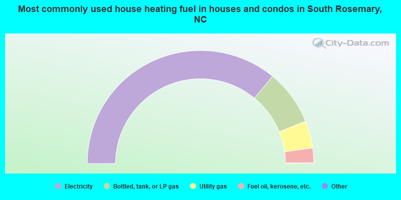 Most commonly used house heating fuel in houses and condos in South Rosemary, NC