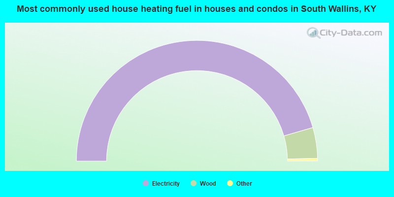 Most commonly used house heating fuel in houses and condos in South Wallins, KY