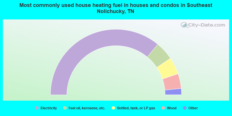 Most commonly used house heating fuel in houses and condos in Southeast Nolichucky, TN