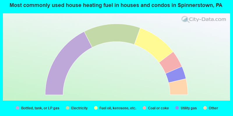 Most commonly used house heating fuel in houses and condos in Spinnerstown, PA