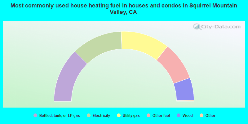 Most commonly used house heating fuel in houses and condos in Squirrel Mountain Valley, CA