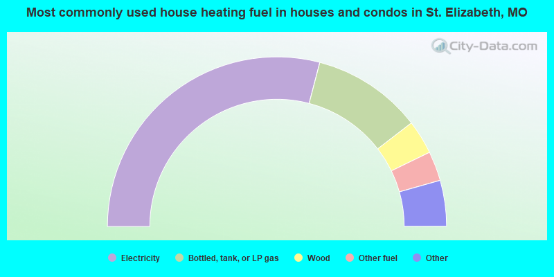 Most commonly used house heating fuel in houses and condos in St. Elizabeth, MO