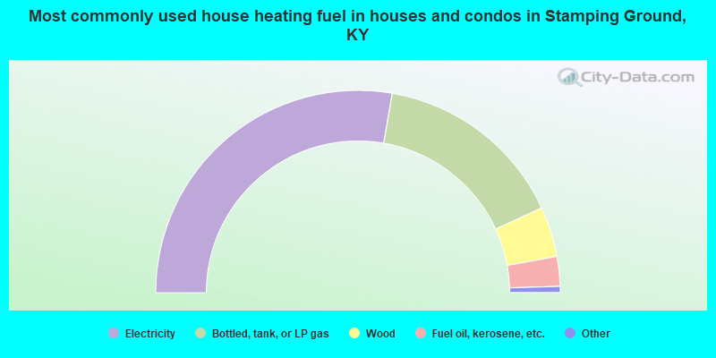 Most commonly used house heating fuel in houses and condos in Stamping Ground, KY