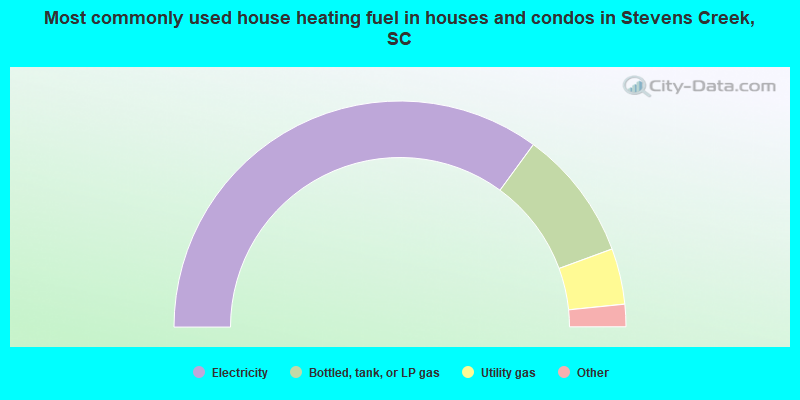 Most commonly used house heating fuel in houses and condos in Stevens Creek, SC
