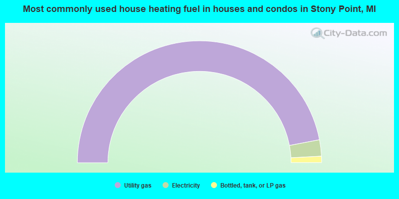 Most commonly used house heating fuel in houses and condos in Stony Point, MI