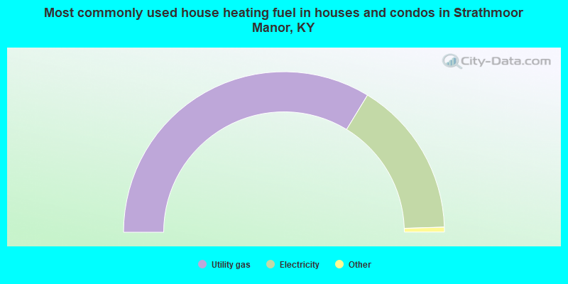 Most commonly used house heating fuel in houses and condos in Strathmoor Manor, KY