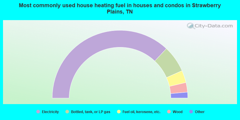 Most commonly used house heating fuel in houses and condos in Strawberry Plains, TN