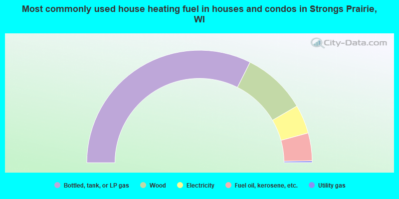 Most commonly used house heating fuel in houses and condos in Strongs Prairie, WI