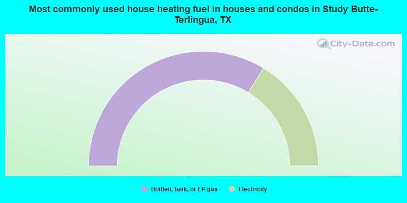 Most commonly used house heating fuel in houses and condos in Study Butte-Terlingua, TX