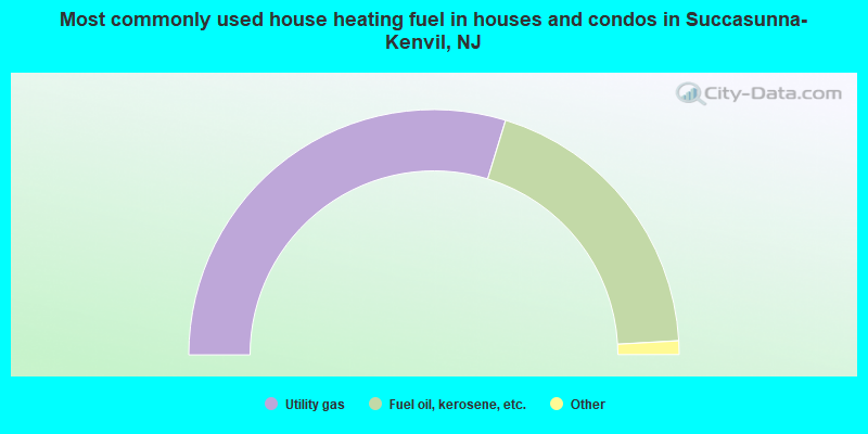 Most commonly used house heating fuel in houses and condos in Succasunna-Kenvil, NJ