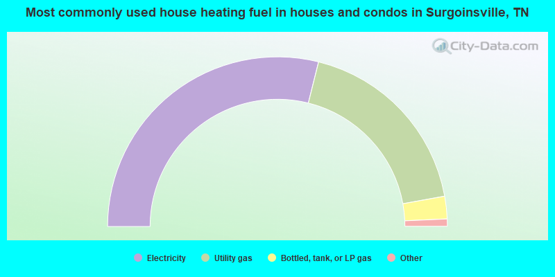 Most commonly used house heating fuel in houses and condos in Surgoinsville, TN