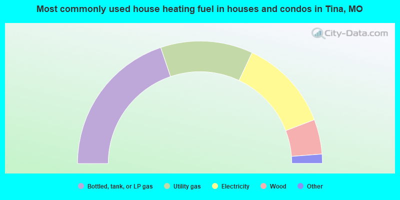 Most commonly used house heating fuel in houses and condos in Tina, MO