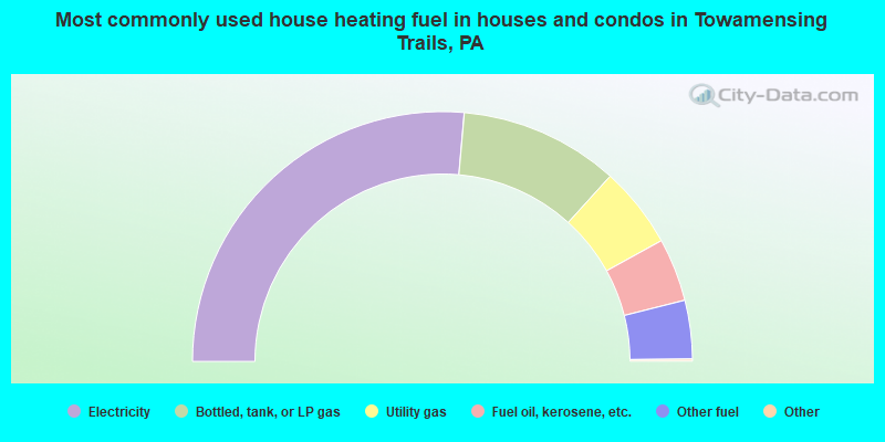 Most commonly used house heating fuel in houses and condos in Towamensing Trails, PA
