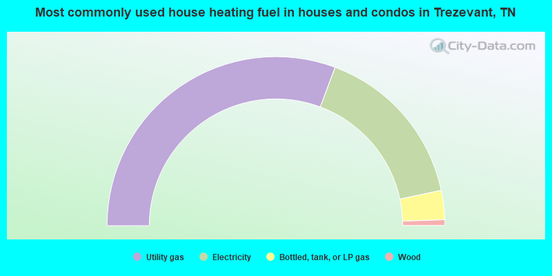 Most commonly used house heating fuel in houses and condos in Trezevant, TN