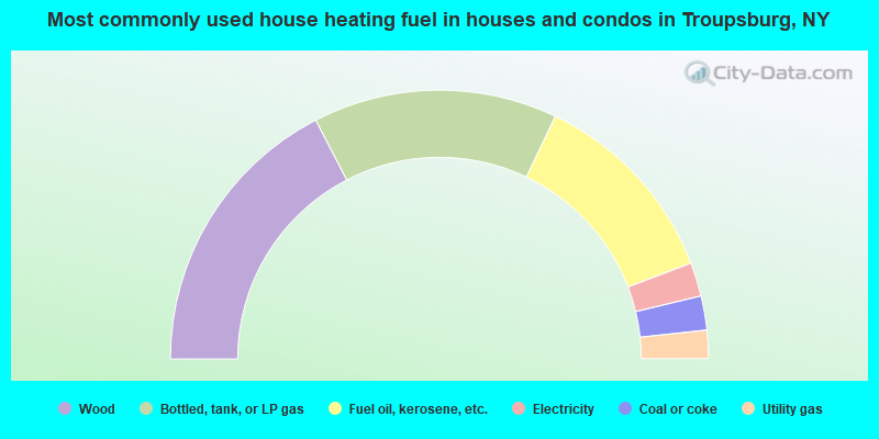 Most commonly used house heating fuel in houses and condos in Troupsburg, NY