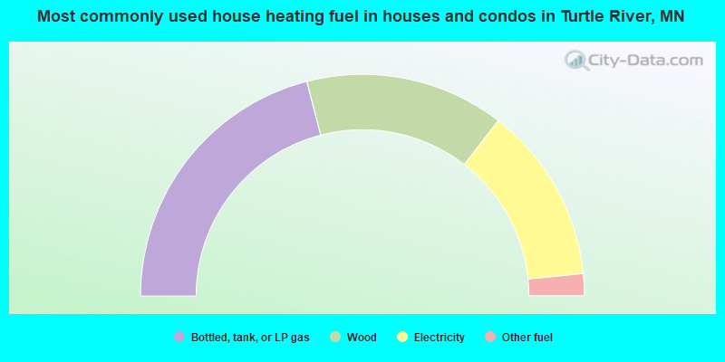Most commonly used house heating fuel in houses and condos in Turtle River, MN
