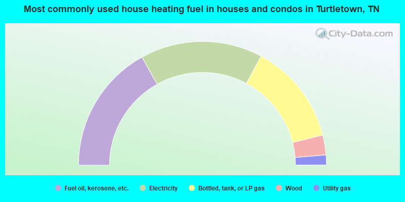Most commonly used house heating fuel in houses and condos in Turtletown, TN