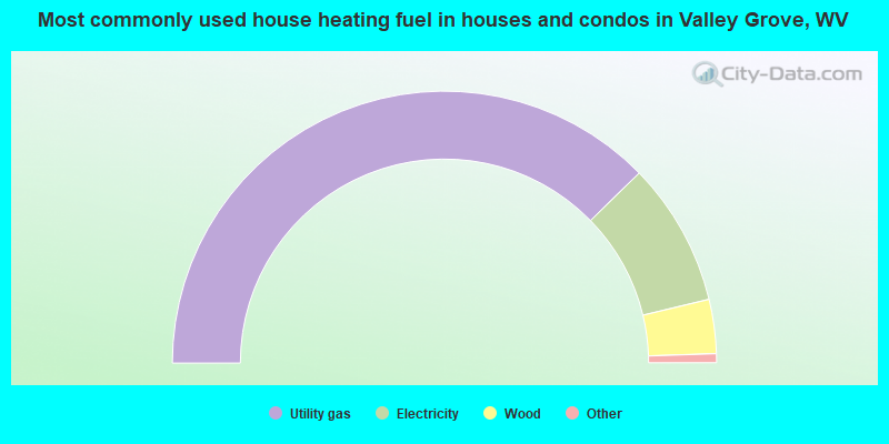 Most commonly used house heating fuel in houses and condos in Valley Grove, WV