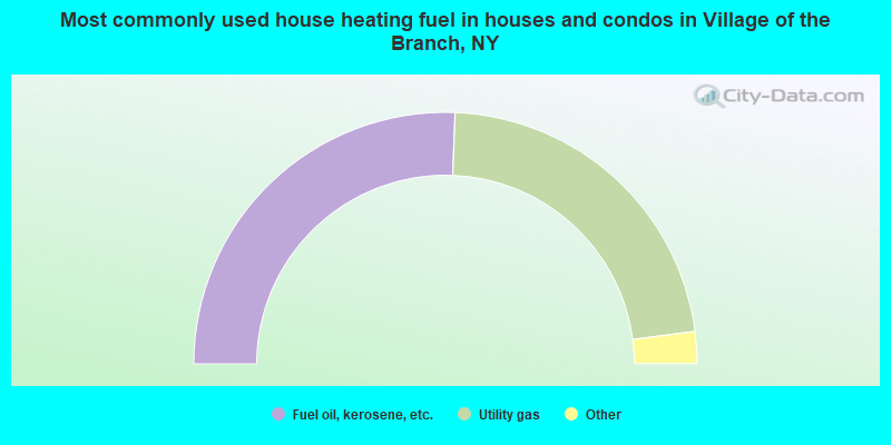 Most commonly used house heating fuel in houses and condos in Village of the Branch, NY