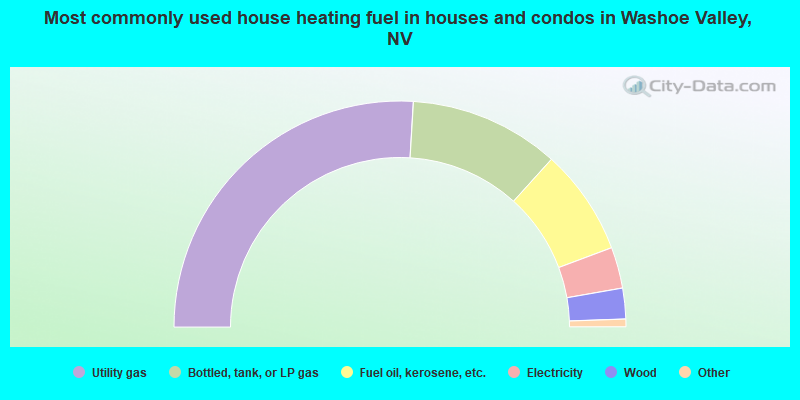 Most commonly used house heating fuel in houses and condos in Washoe Valley, NV