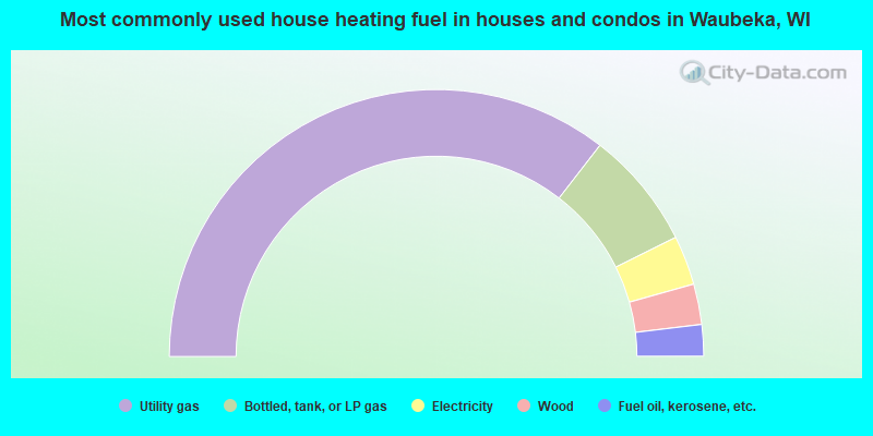 Most commonly used house heating fuel in houses and condos in Waubeka, WI