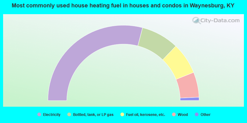 Most commonly used house heating fuel in houses and condos in Waynesburg, KY