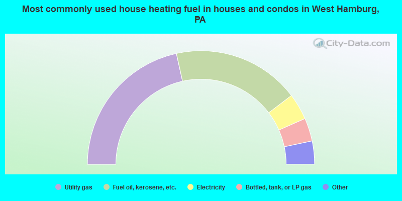 Most commonly used house heating fuel in houses and condos in West Hamburg, PA