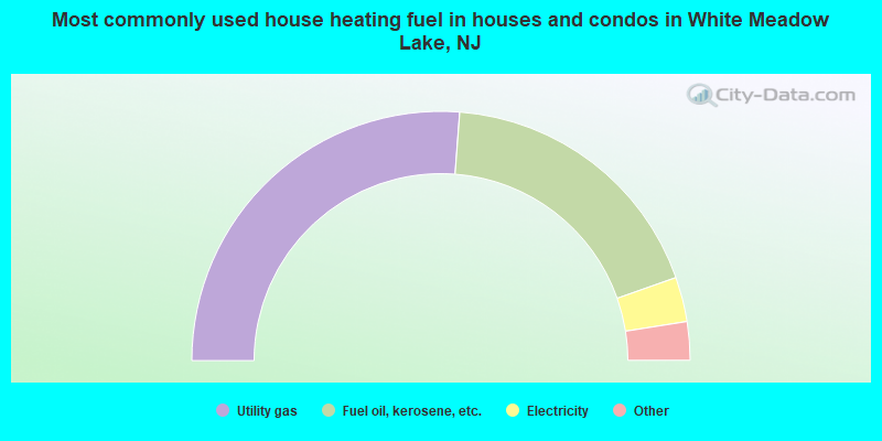 Most commonly used house heating fuel in houses and condos in White Meadow Lake, NJ