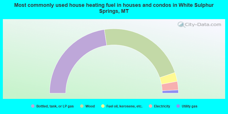 Most commonly used house heating fuel in houses and condos in White Sulphur Springs, MT