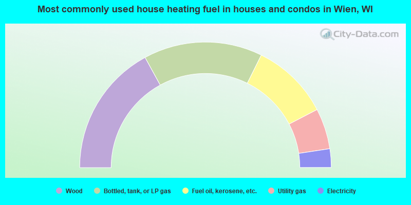 Most commonly used house heating fuel in houses and condos in Wien, WI