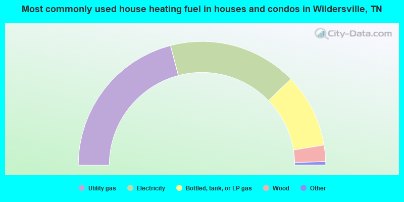 Most commonly used house heating fuel in houses and condos in Wildersville, TN