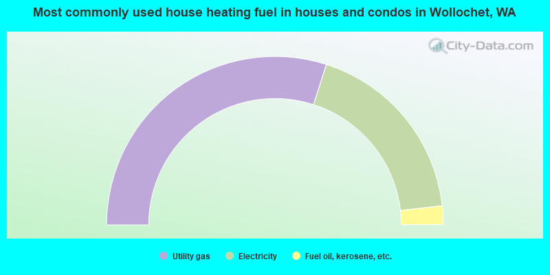 Most commonly used house heating fuel in houses and condos in Wollochet, WA