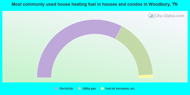 Most commonly used house heating fuel in houses and condos in Woodbury, TN