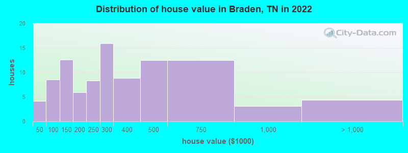 Distribution of house value in Braden, TN in 2022