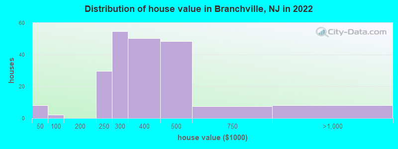 Distribution of house value in Branchville, NJ in 2021