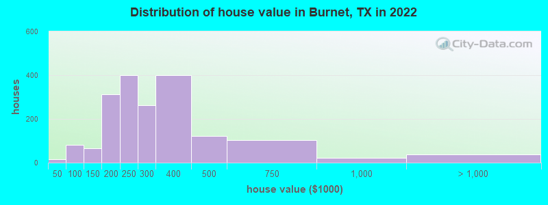 Distribution of house value in Burnet, TX in 2019